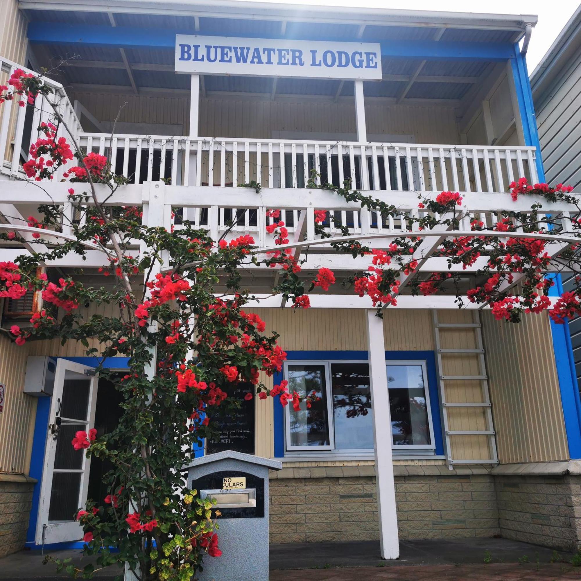 Bluewater Lodge Napier Luaran gambar